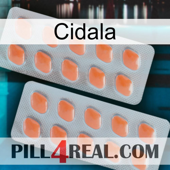 Cidala 27.jpg